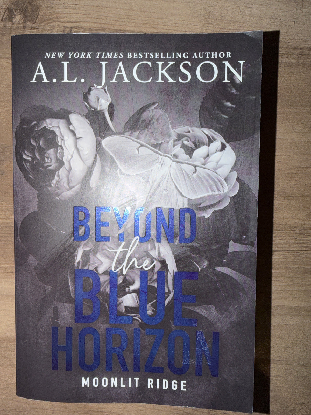 Beyond the Blue Horizon (Book 4 of 5) by A.L. Jackson