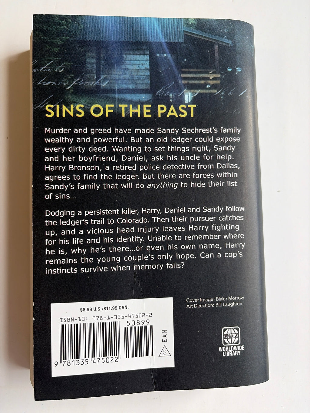 When Memory Fails by L.C. Hayden