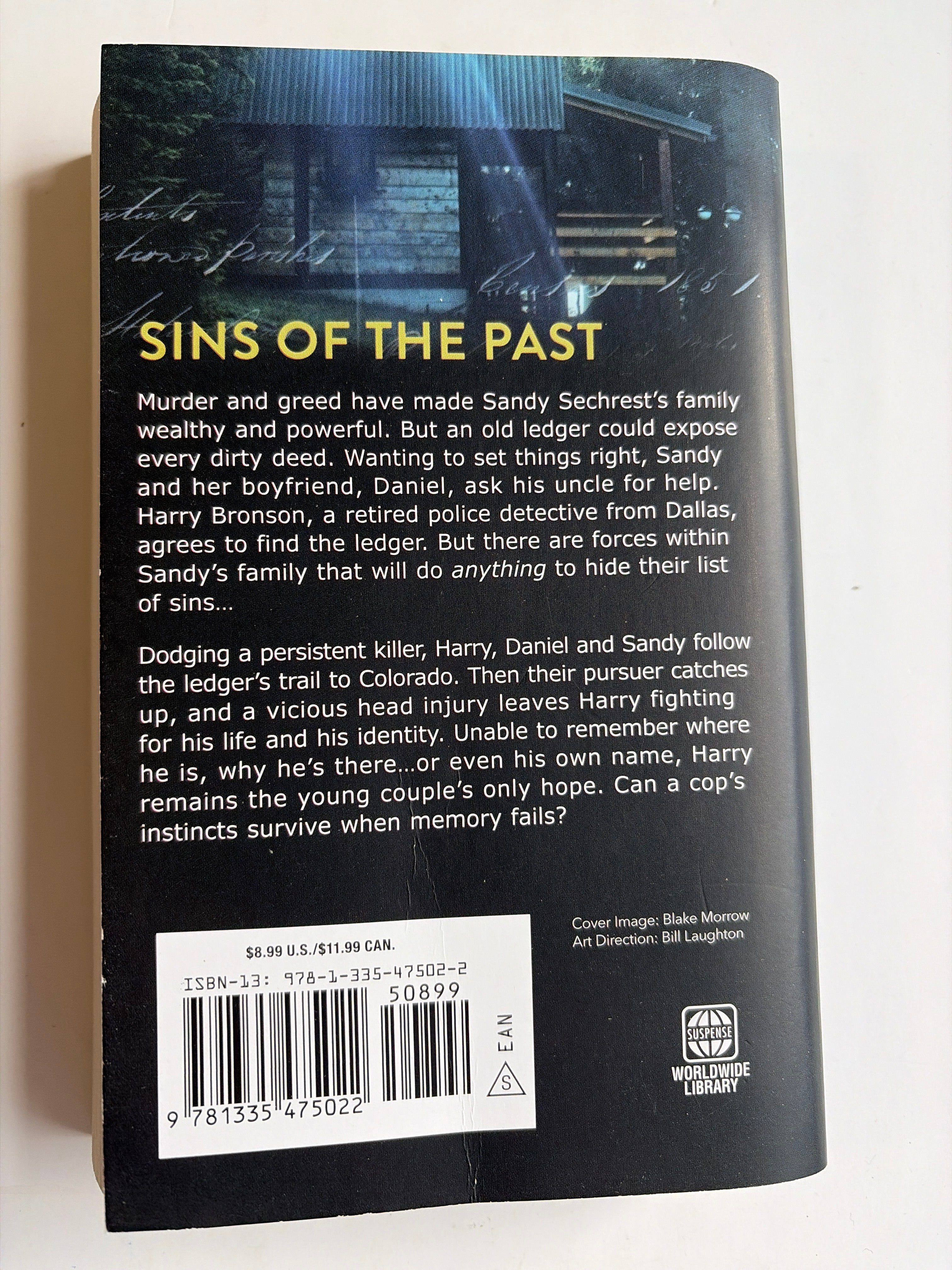 When Memory Fails by L.C. Hayden