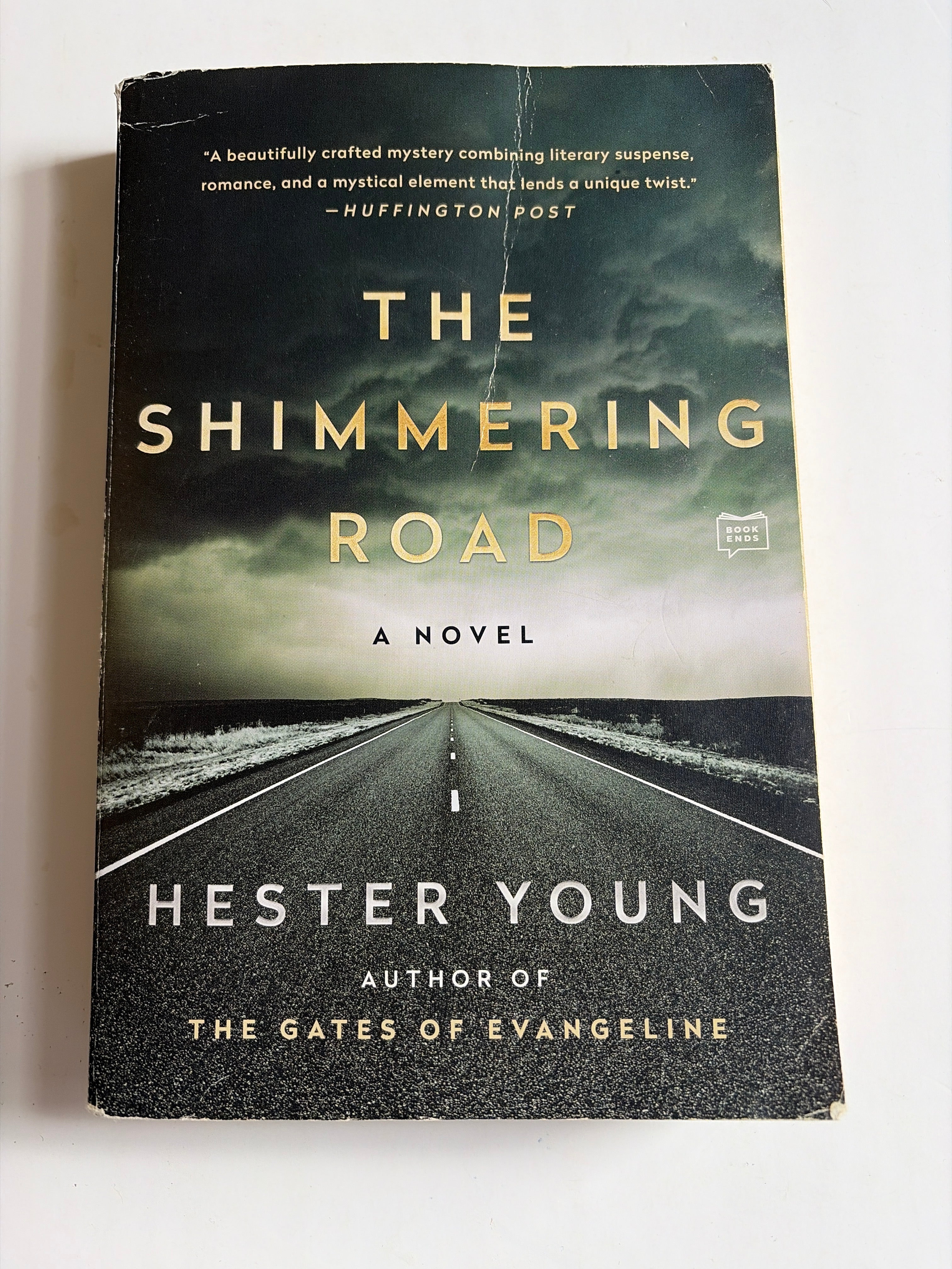 The Shimmering Road by Hester Young