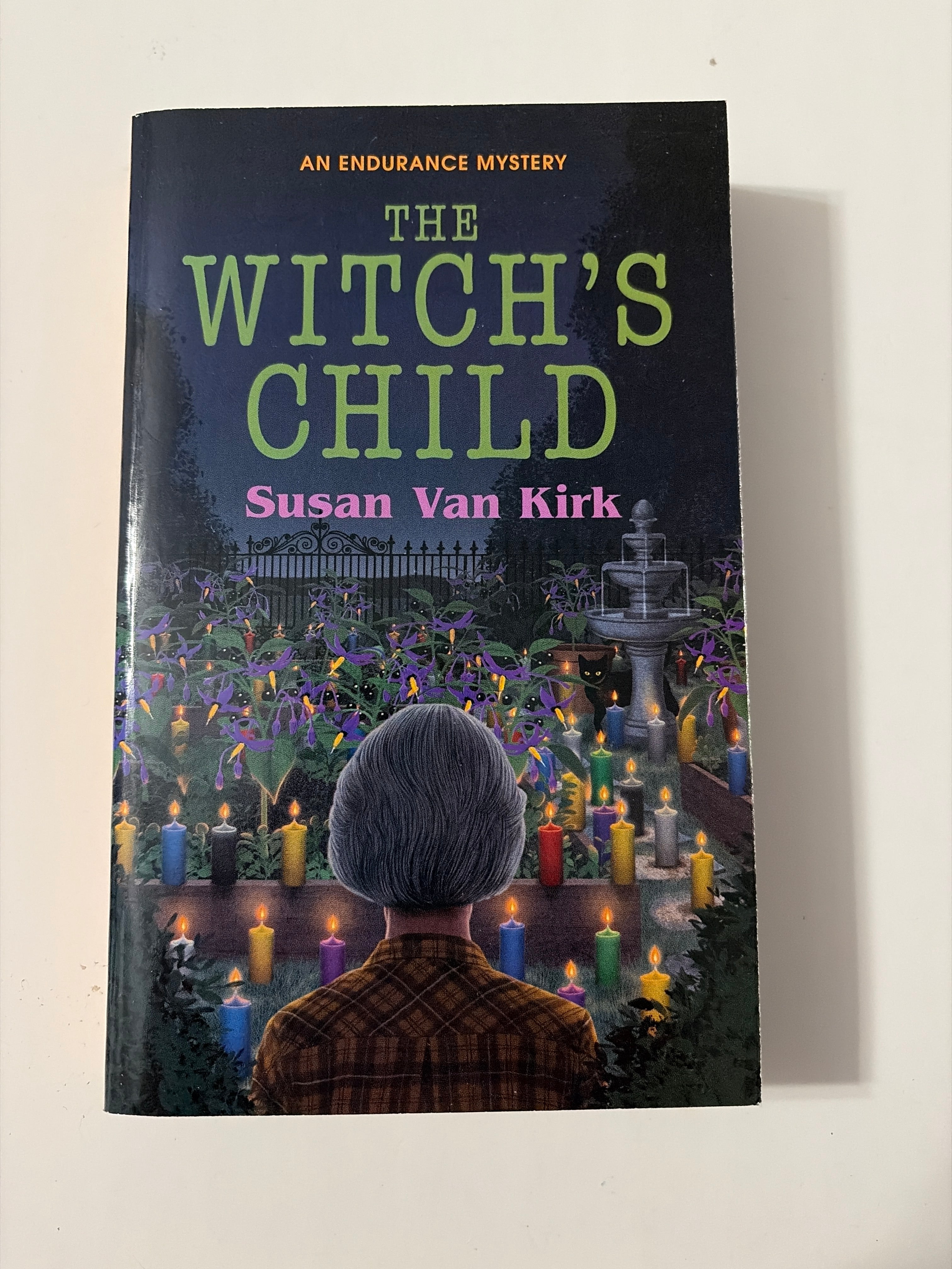 The Witch's Child by Susan Van Kirk