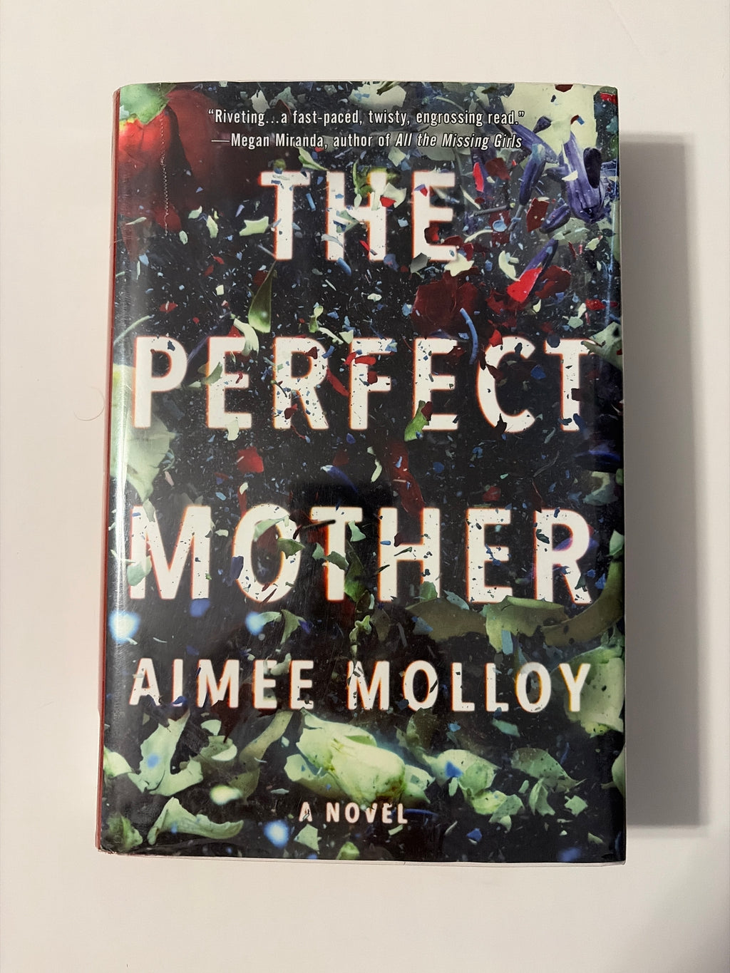 The Perfect Mother by Aimee Molloy