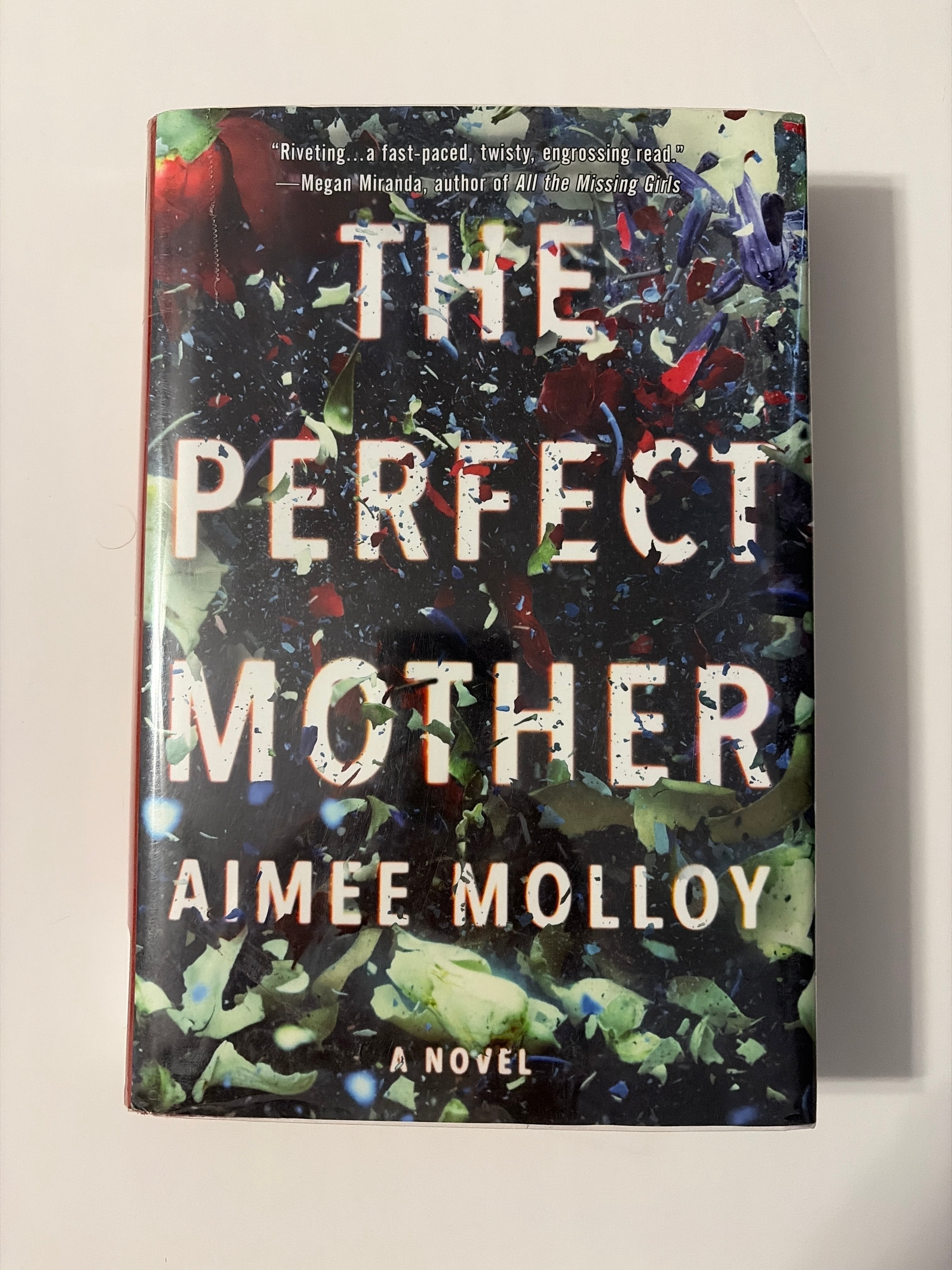 The Perfect Mother by Aimee Molloy