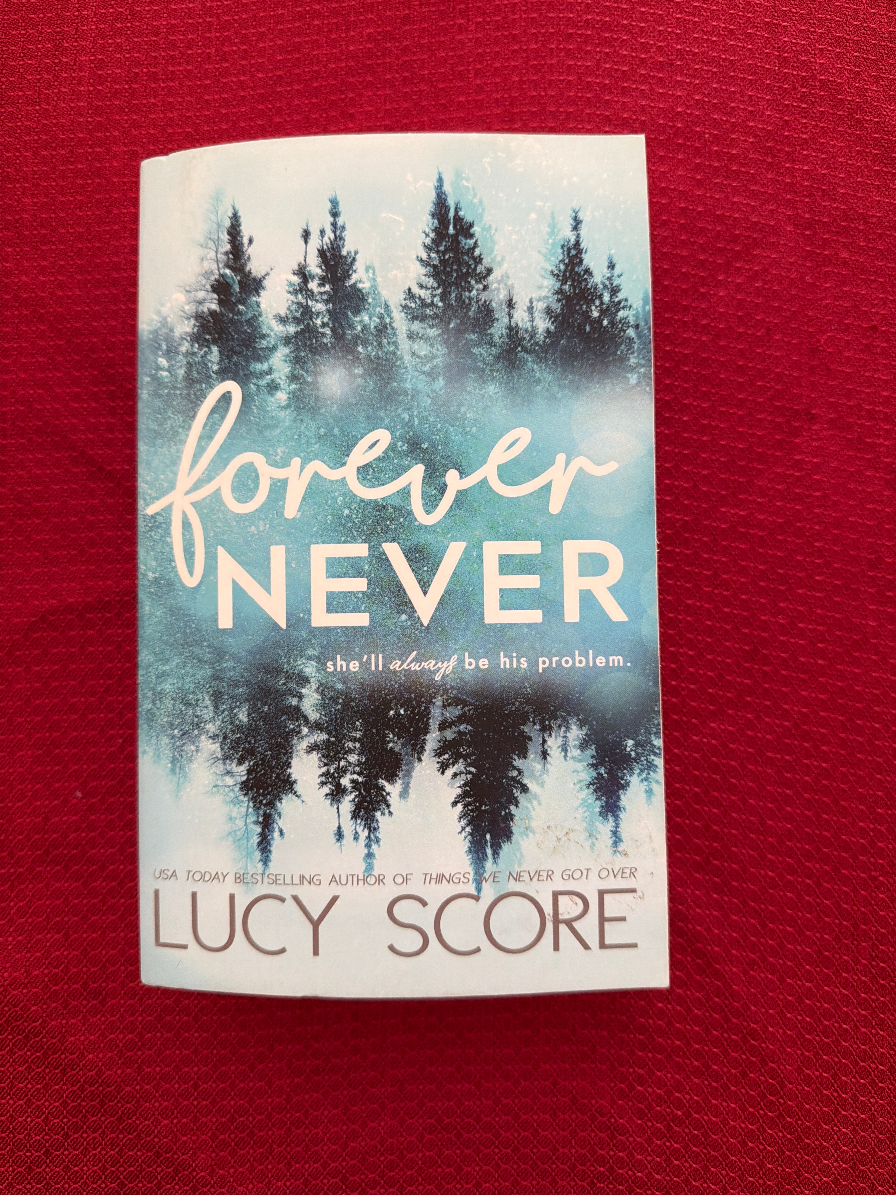 Forever Never by Lucy Score