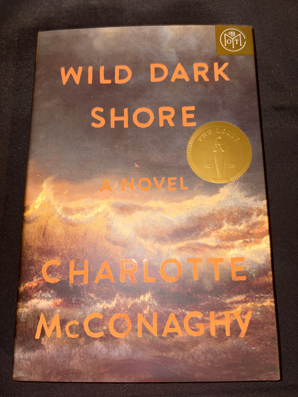 Wild Dark Shore by Charlotte McConaghy