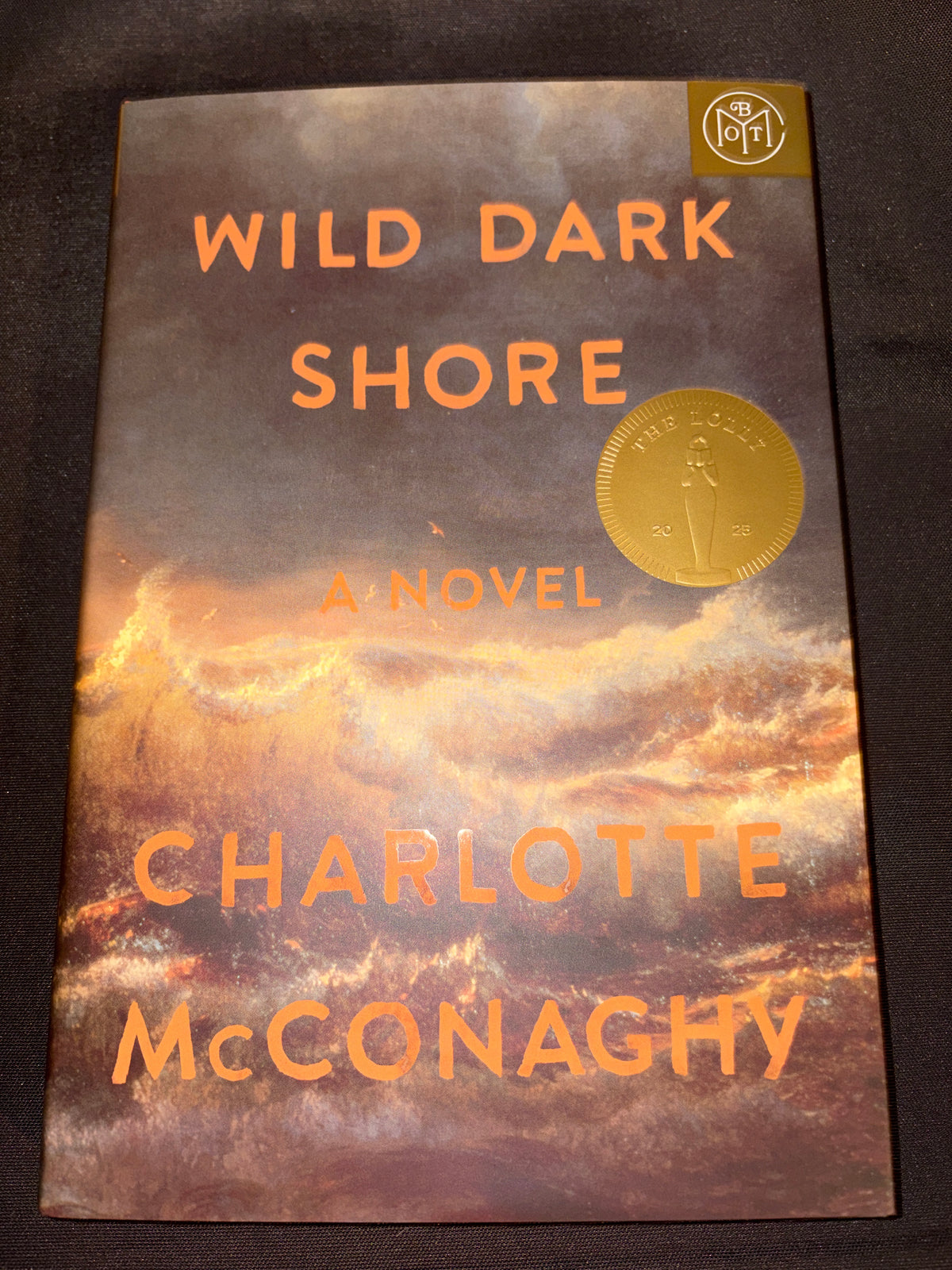 Wild Dark Shore by Charlotte McConaghy