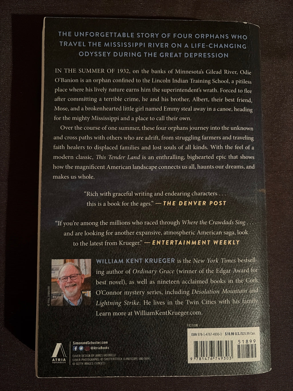 This Tender Land by William Kent Krueger