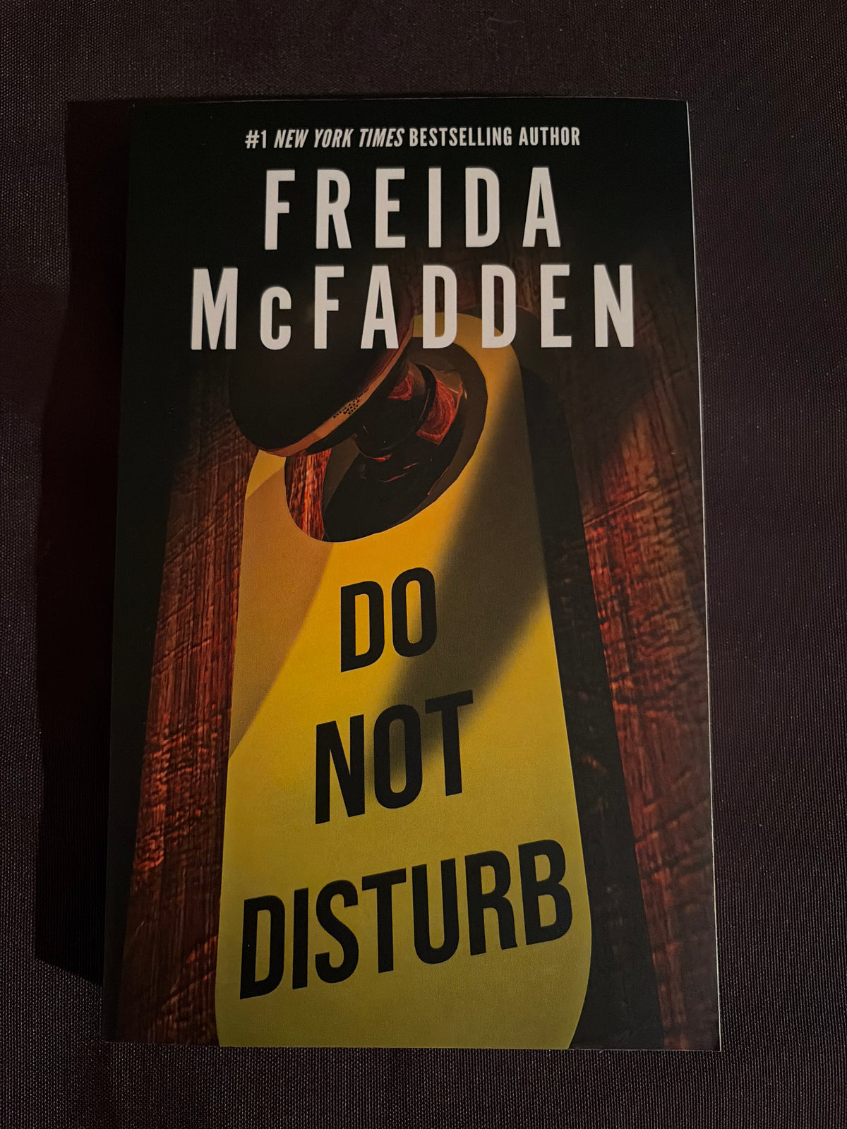 Do Not Disturb by Freida McFadden