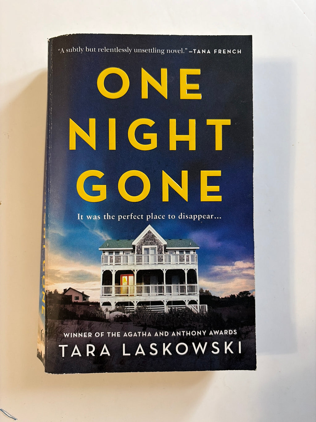 One Night Gone by Tara Laskowski