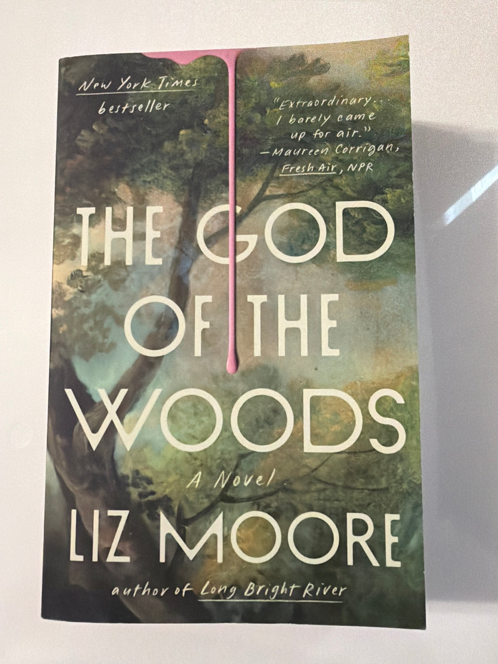The God of the Woods by Liz Moore