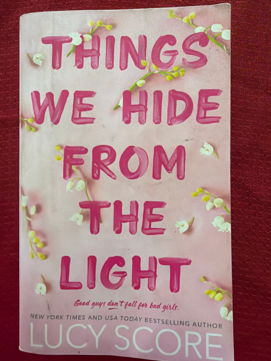 Things We Hide From the Light (Book 2 of 3) by Lucy Score