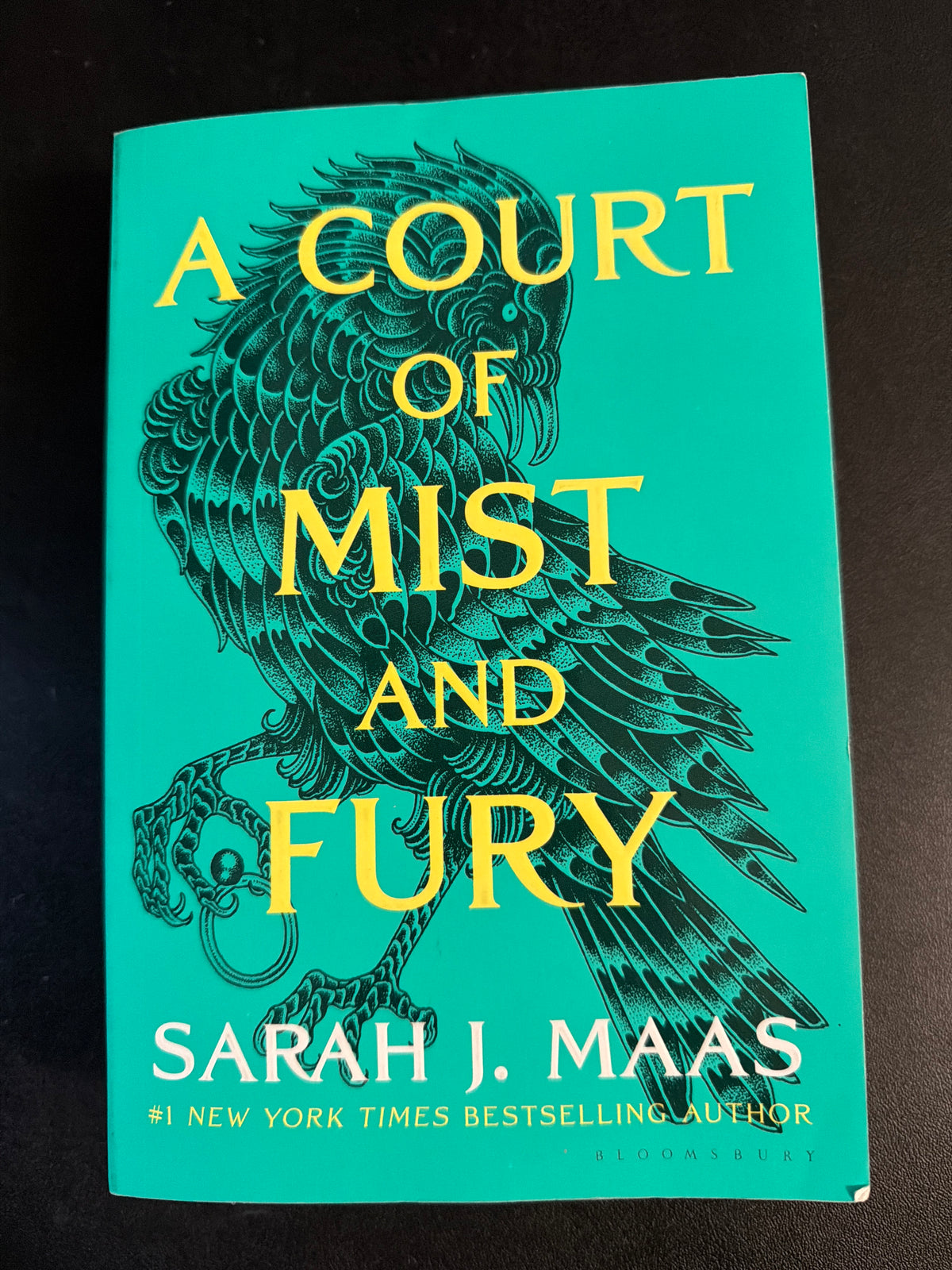 A Court of Mist and Fury (Book 2 of 7) by Sarah J. Maas