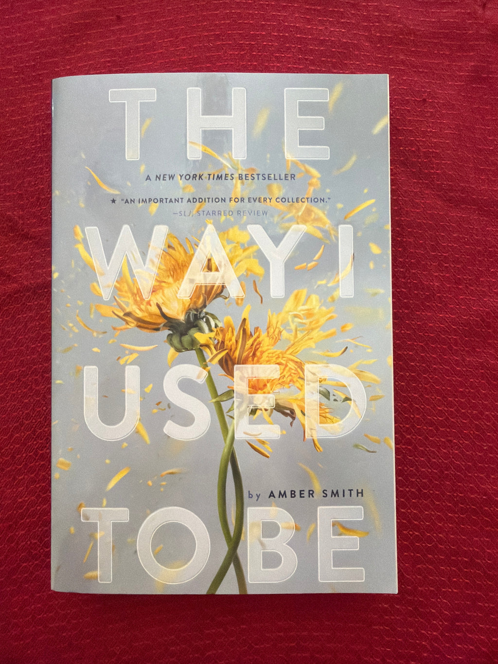 The Way I Used to Be (Book 1 of 3) by Amber Smith
