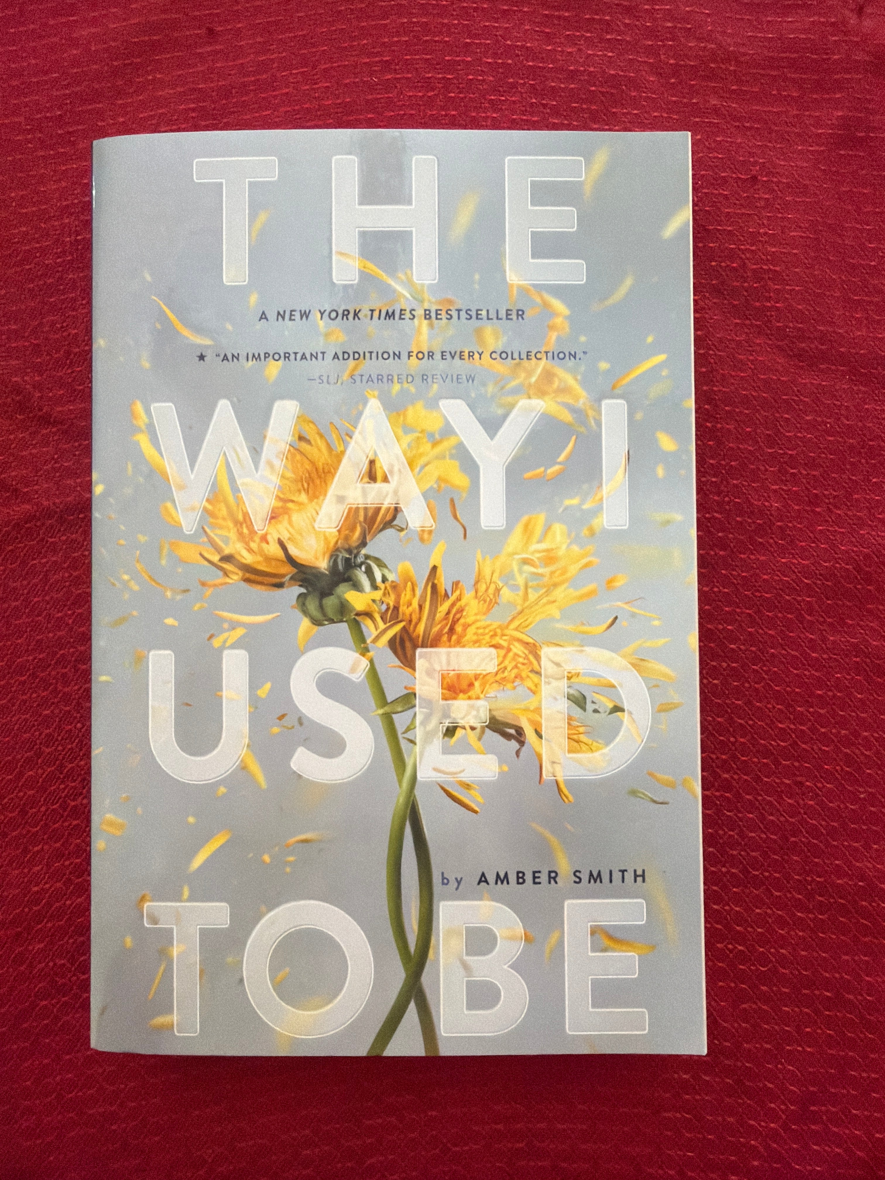 The Way I Used to Be (Book 1 of 3) by Amber Smith