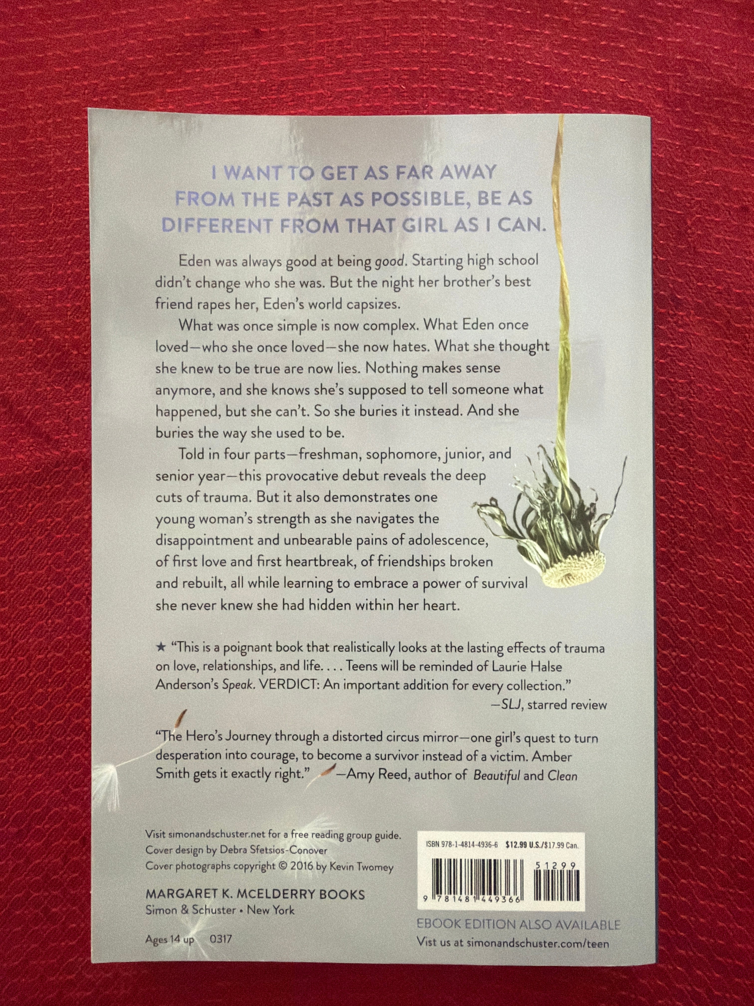 The Way I Used to Be (Book 1 of 3) by Amber Smith