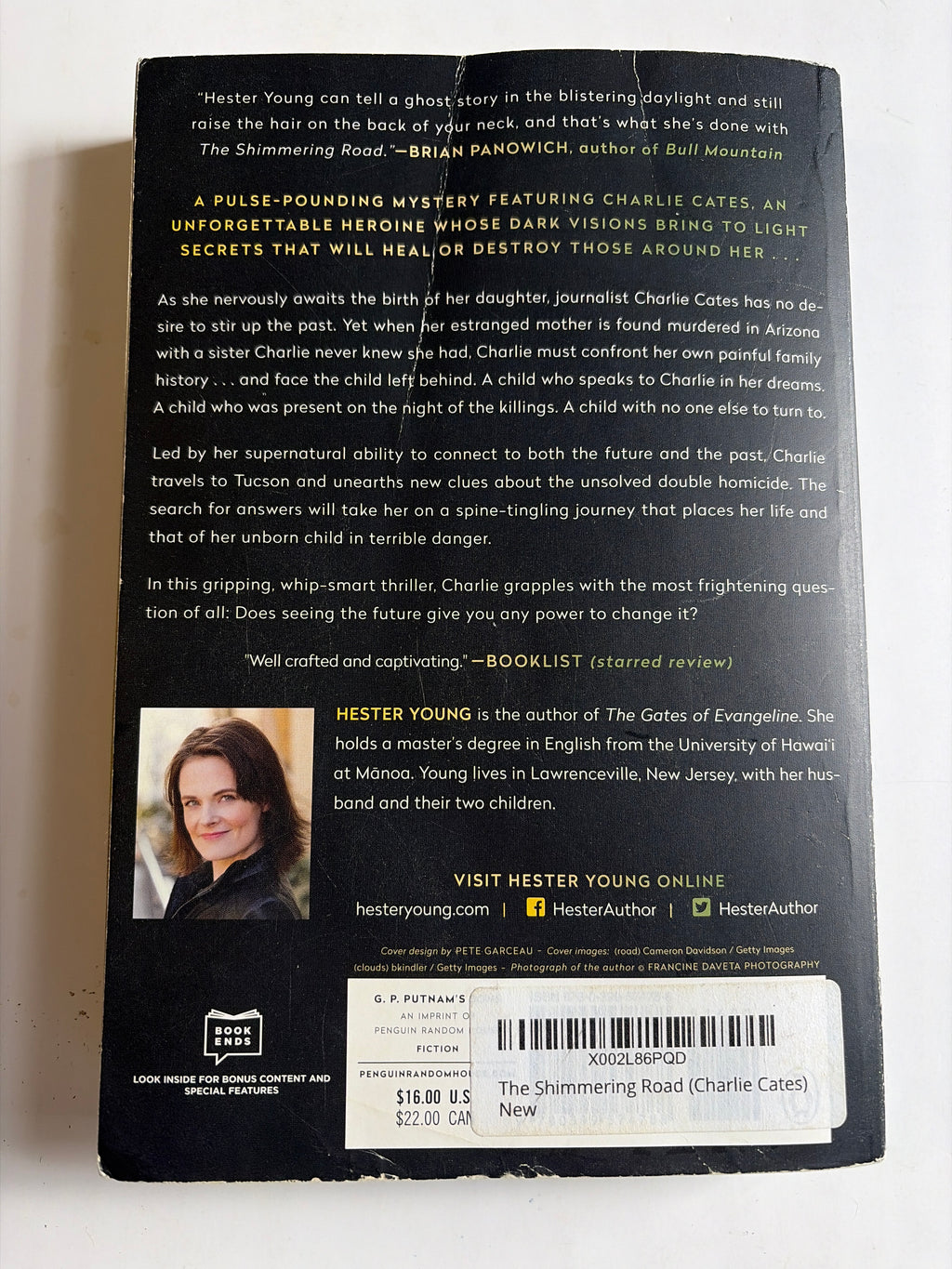 The Shimmering Road by Hester Young