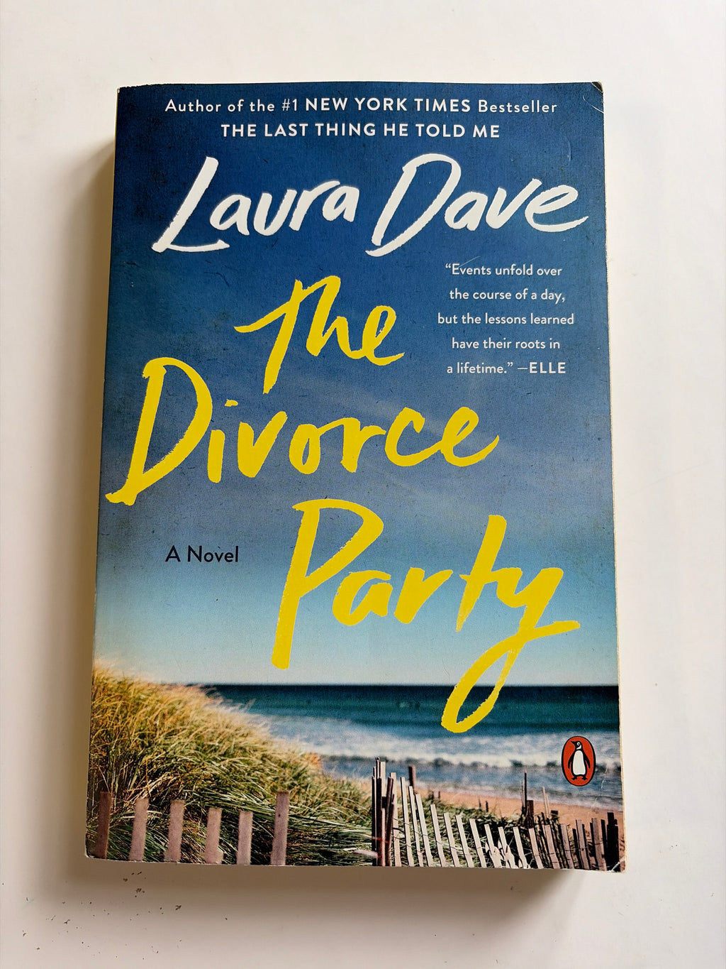 The Divorce Party by Laura Dave