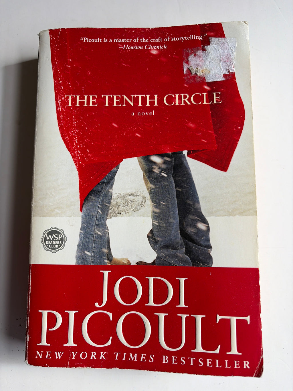 The Tenth Circle by Jodi Picoult