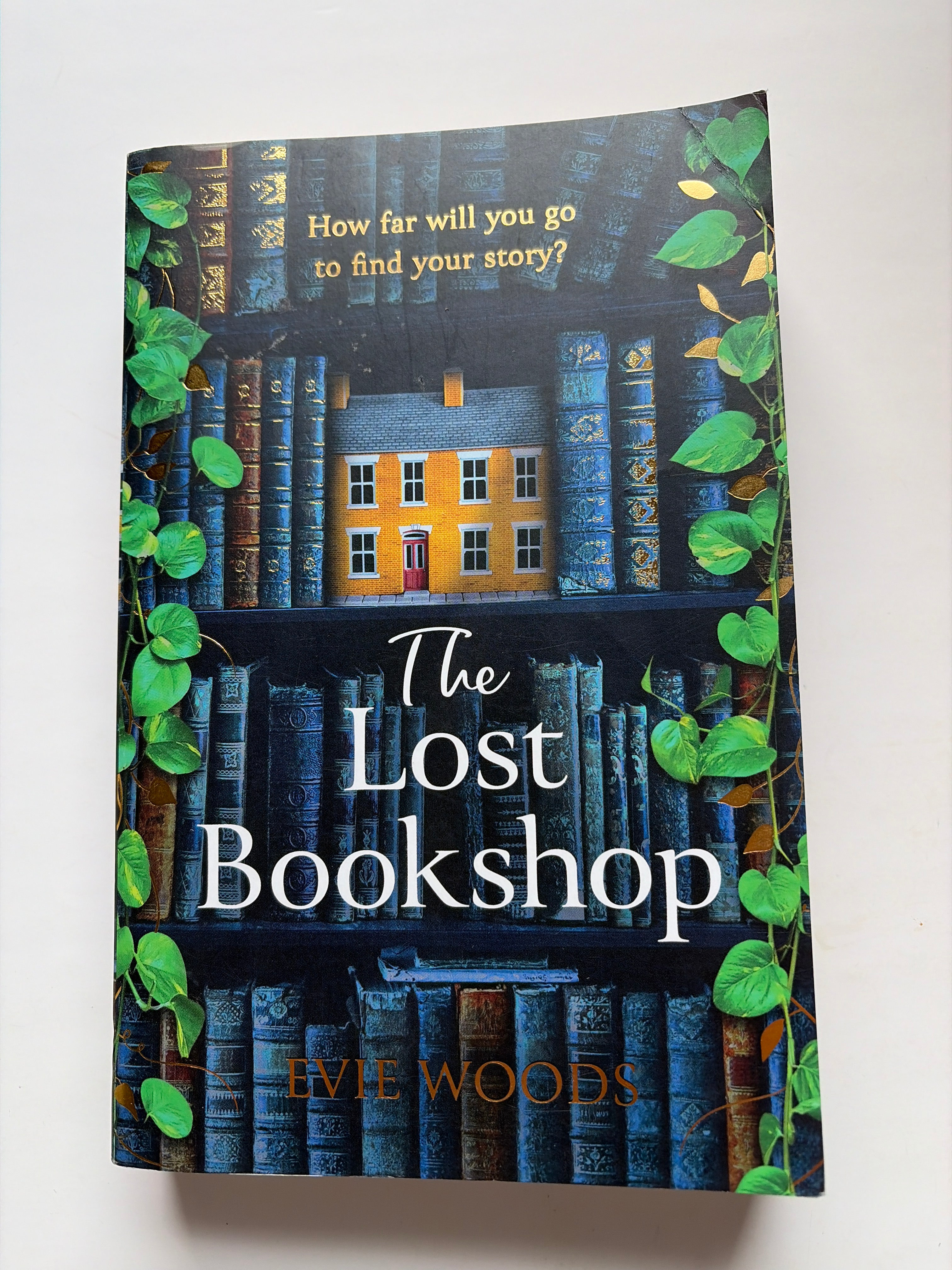 The Lost Bookshop by Evie Woods