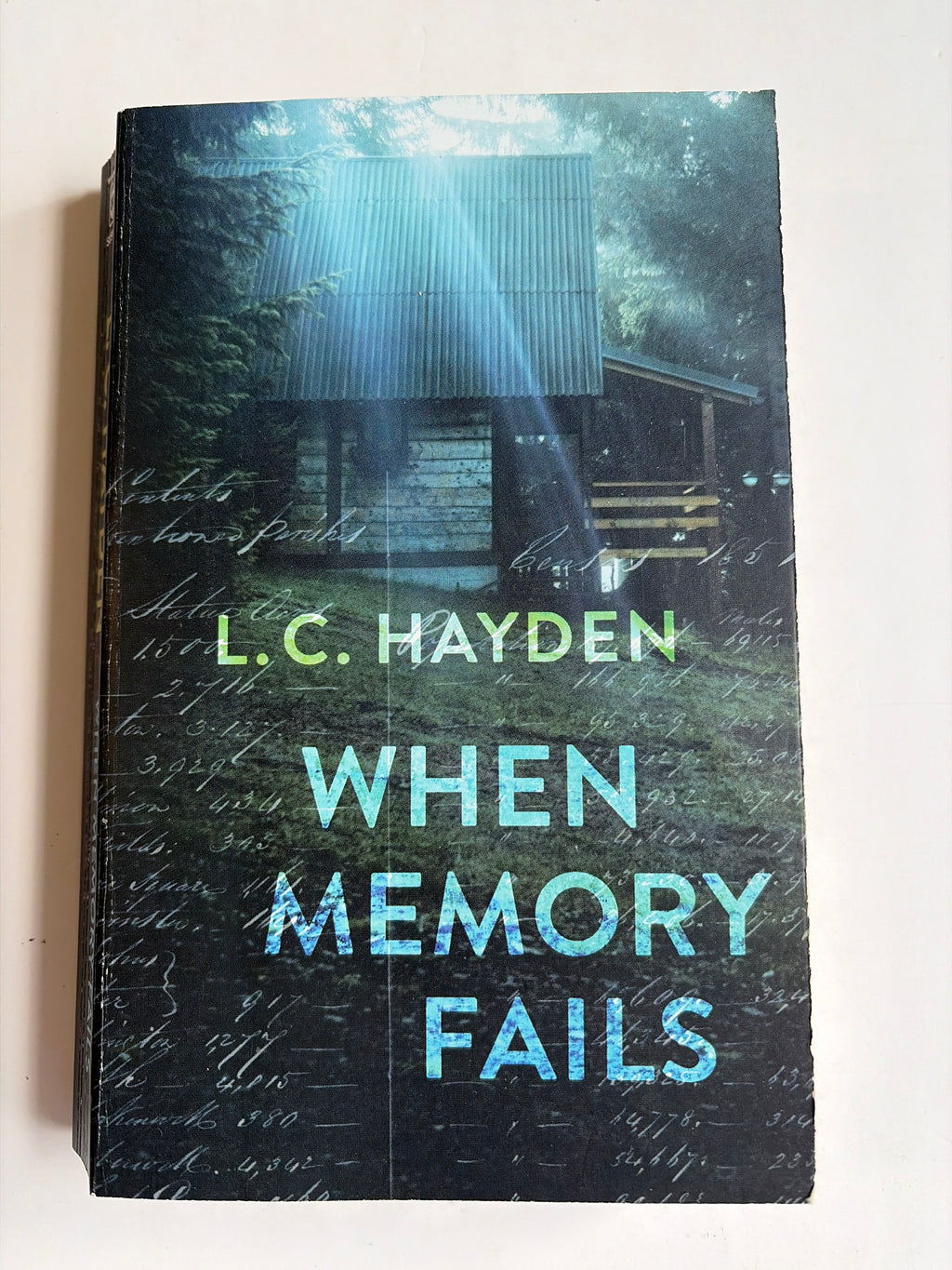 When Memory Fails by L.C. Hayden