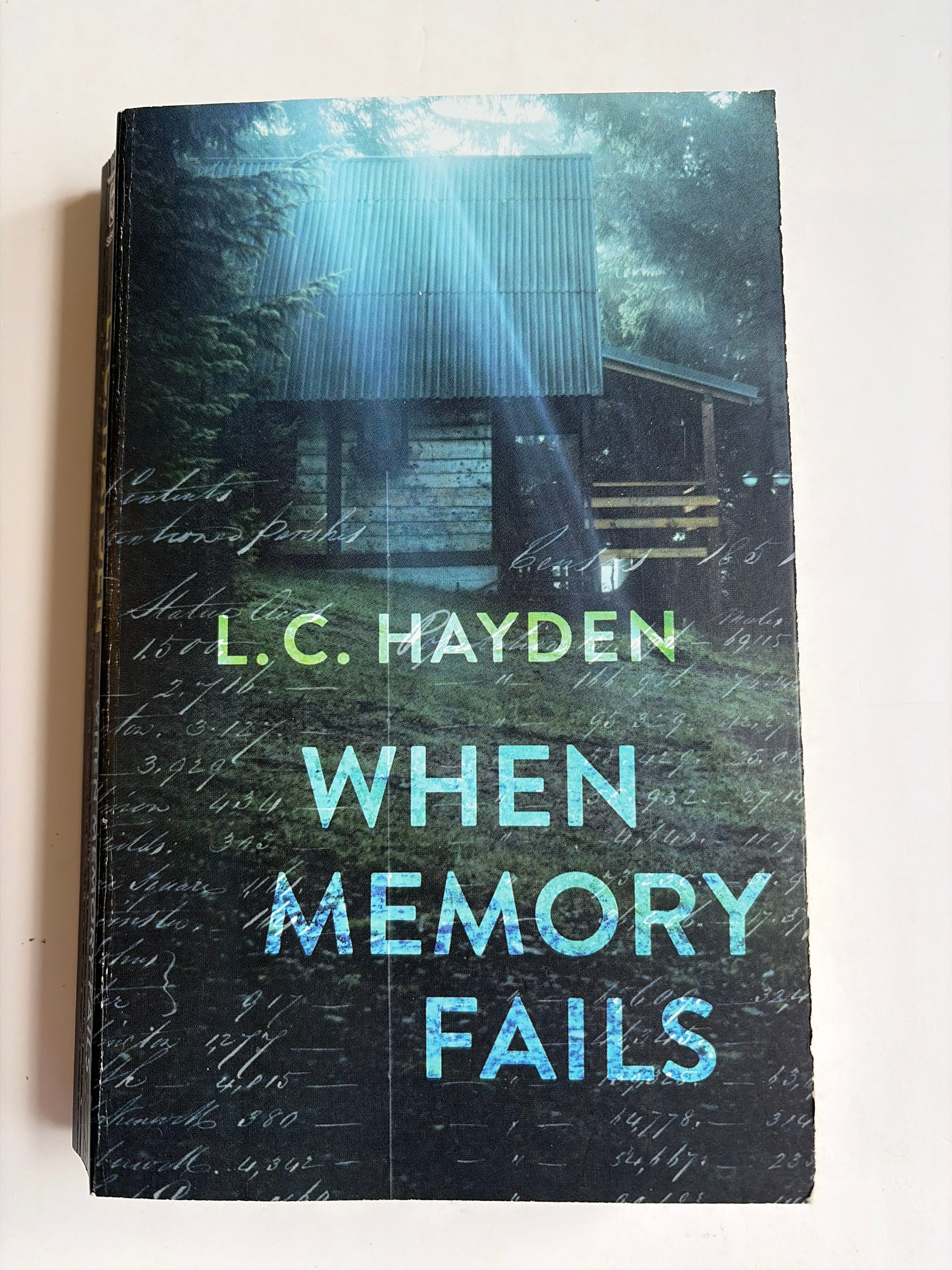 When Memory Fails by L.C. Hayden