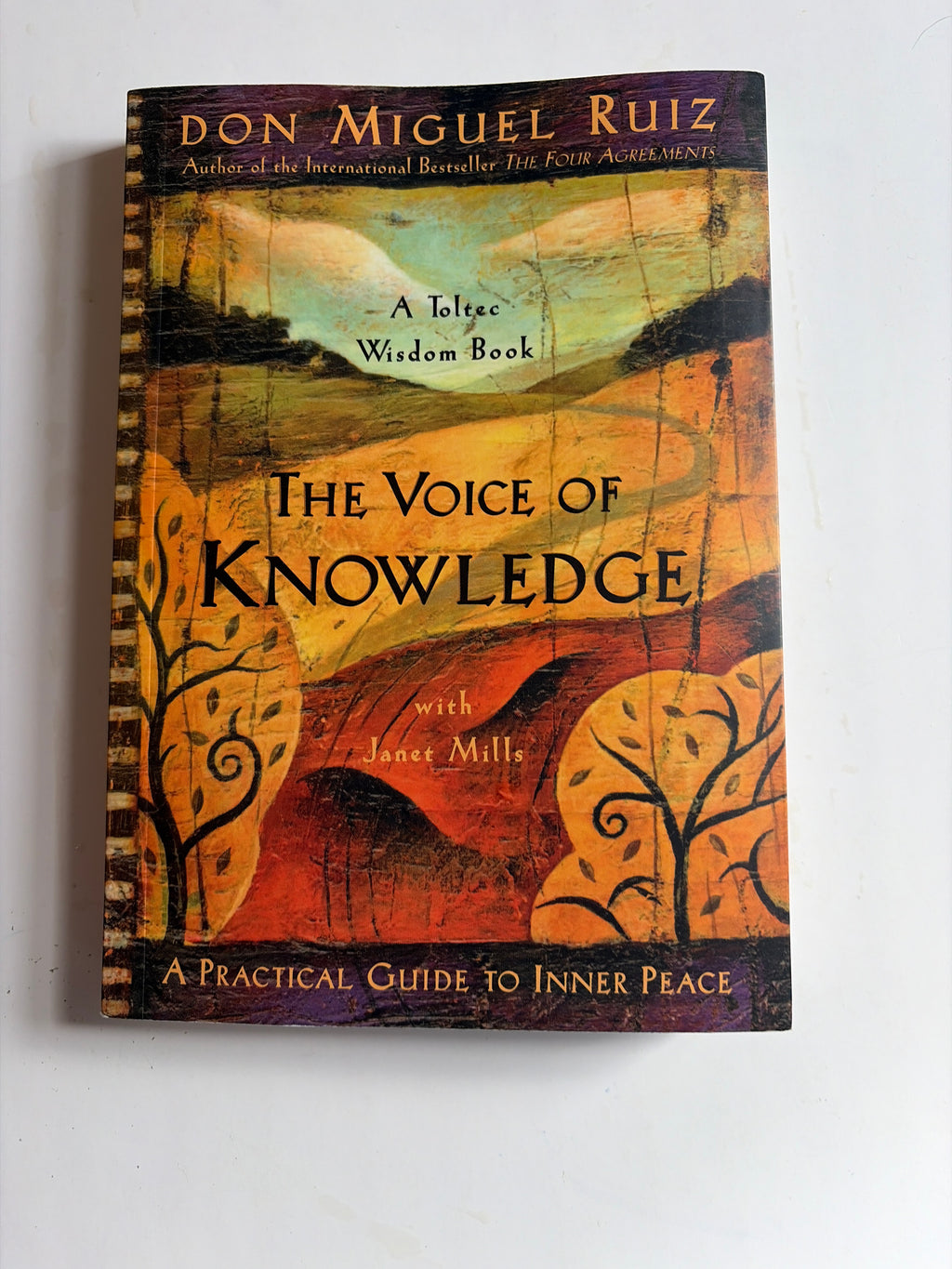 The Voice of Knowledge by Don Miguel Ruiz