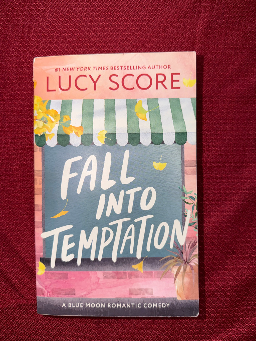 Fall into Temptation by Lucy Score