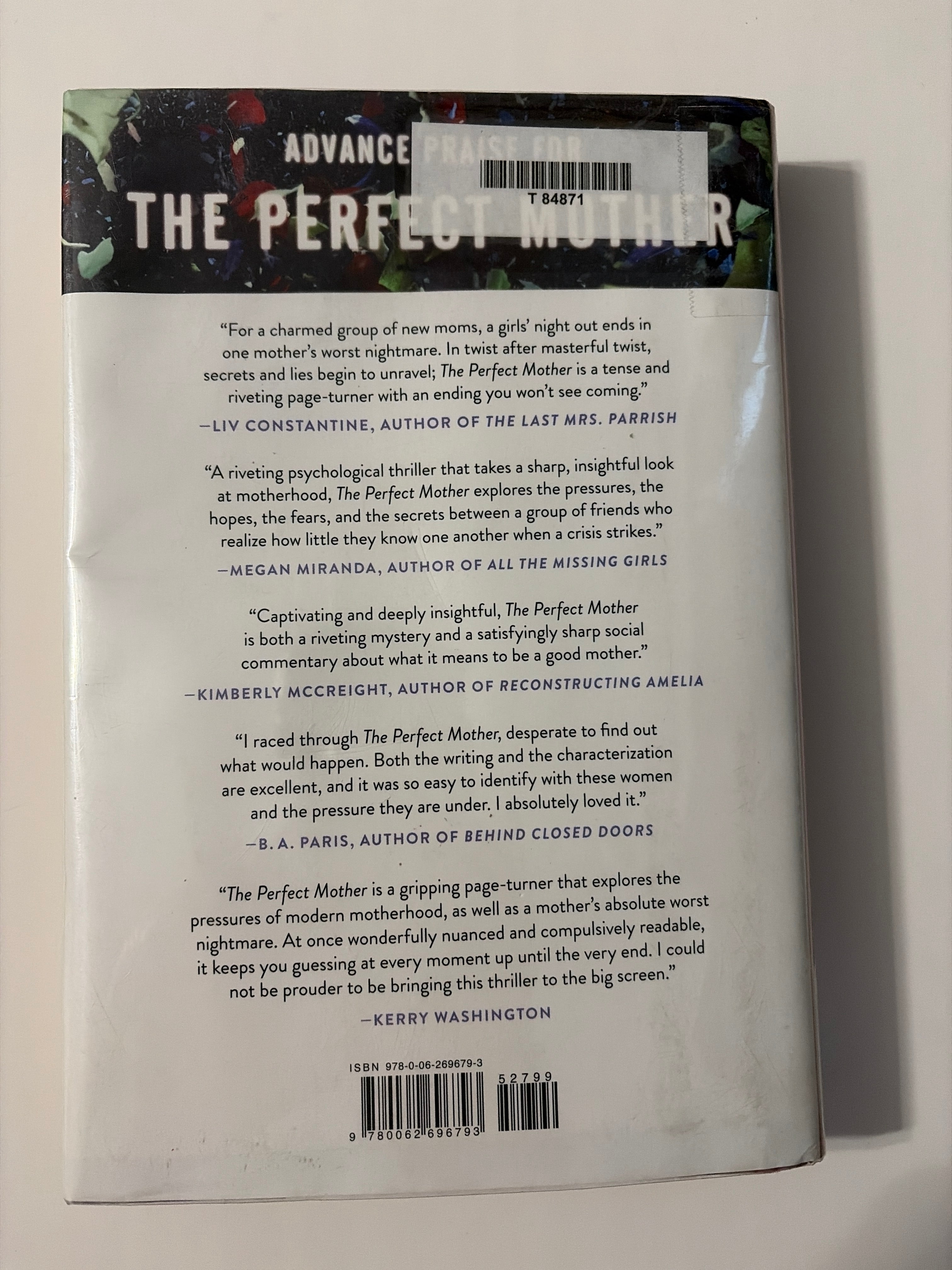 The Perfect Mother by Aimee Molloy