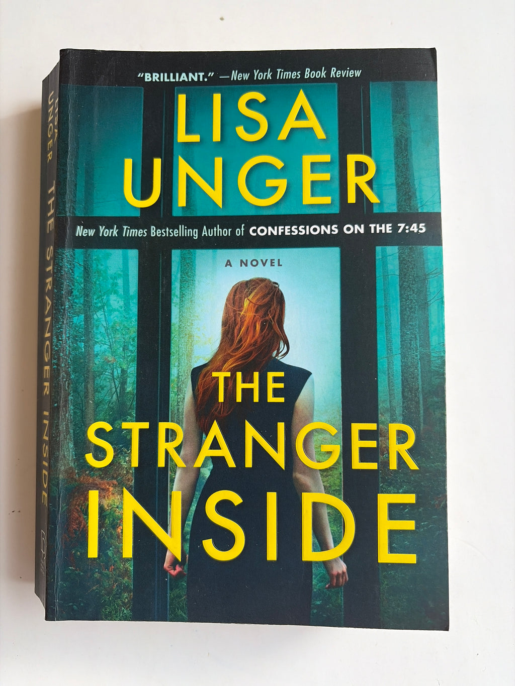 The Stranger Inside by Lisa Unger