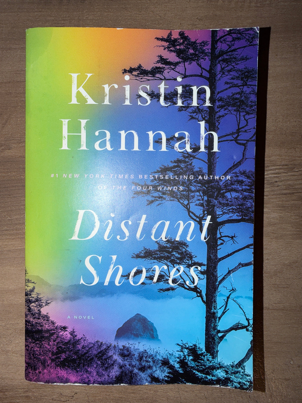 Distant Shores by Kristin Hannah