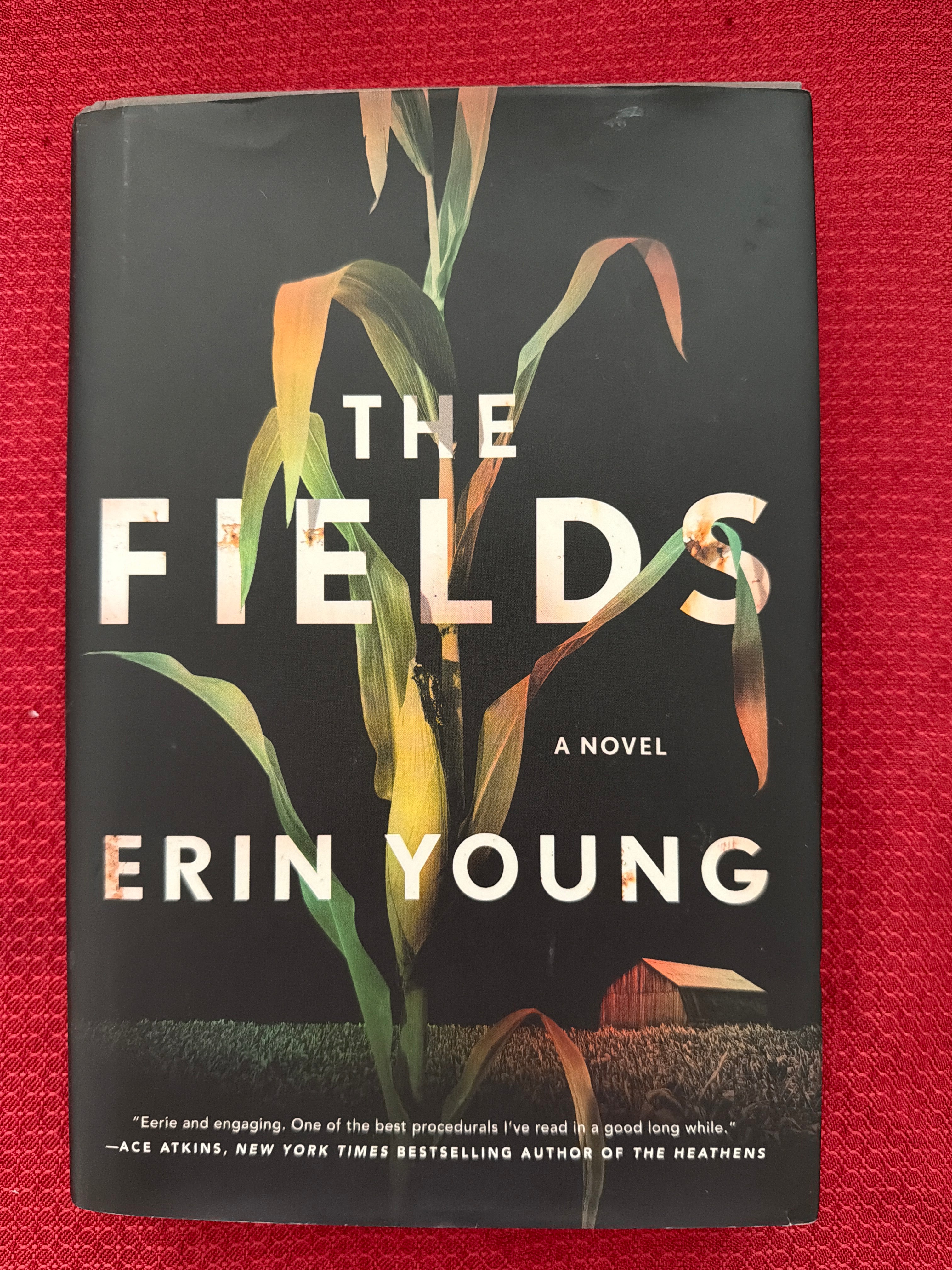 The Fields (Book 1 of 2) by Erin Young
