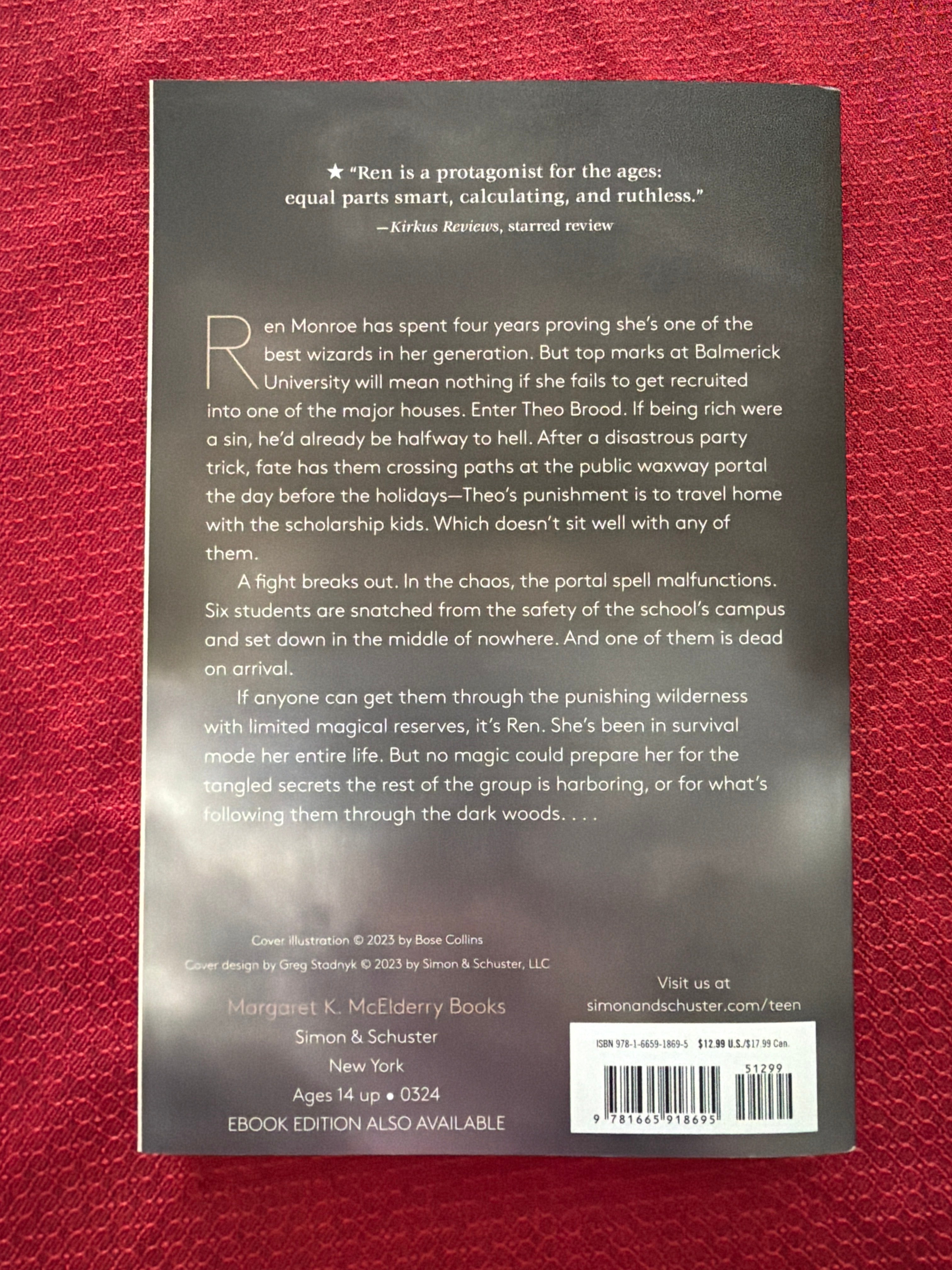 A Door in the Dark (Book 1 of 3) by Scott Reintgen