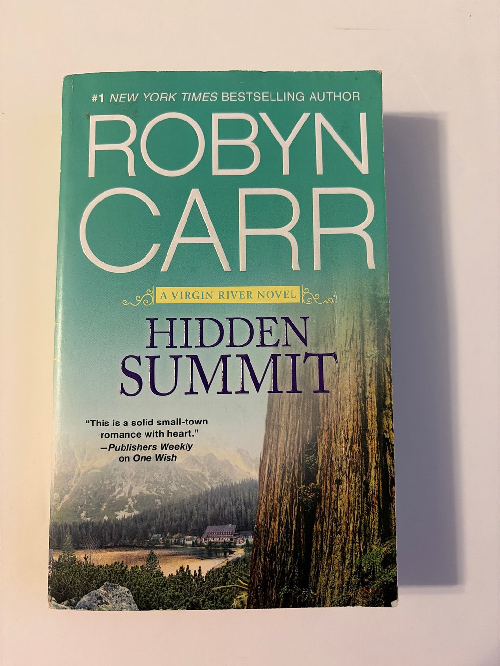 Hidden Summit by Robyn Carr
