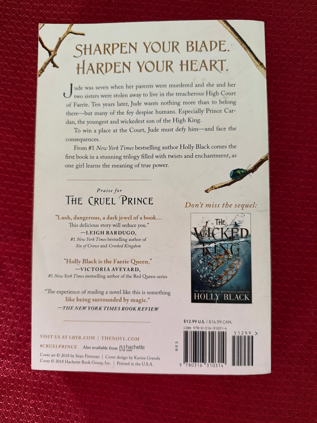 The Cruel Prince (Book 1 of 3) by Holly Black
